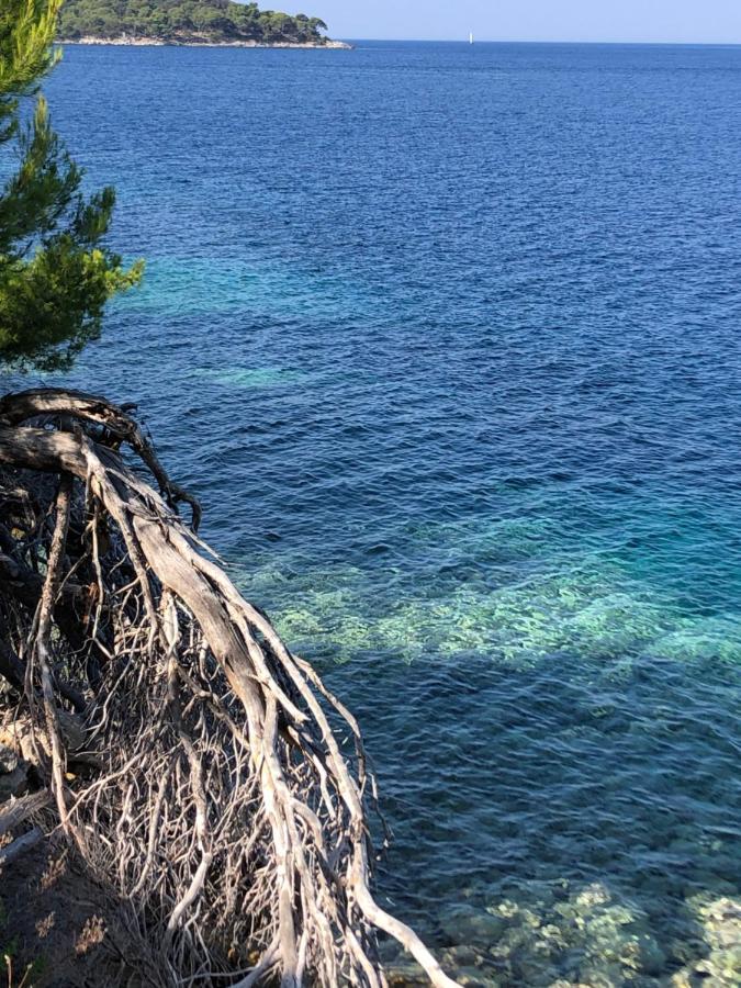 Villa Iva Lastovo Убли Экстерьер фото