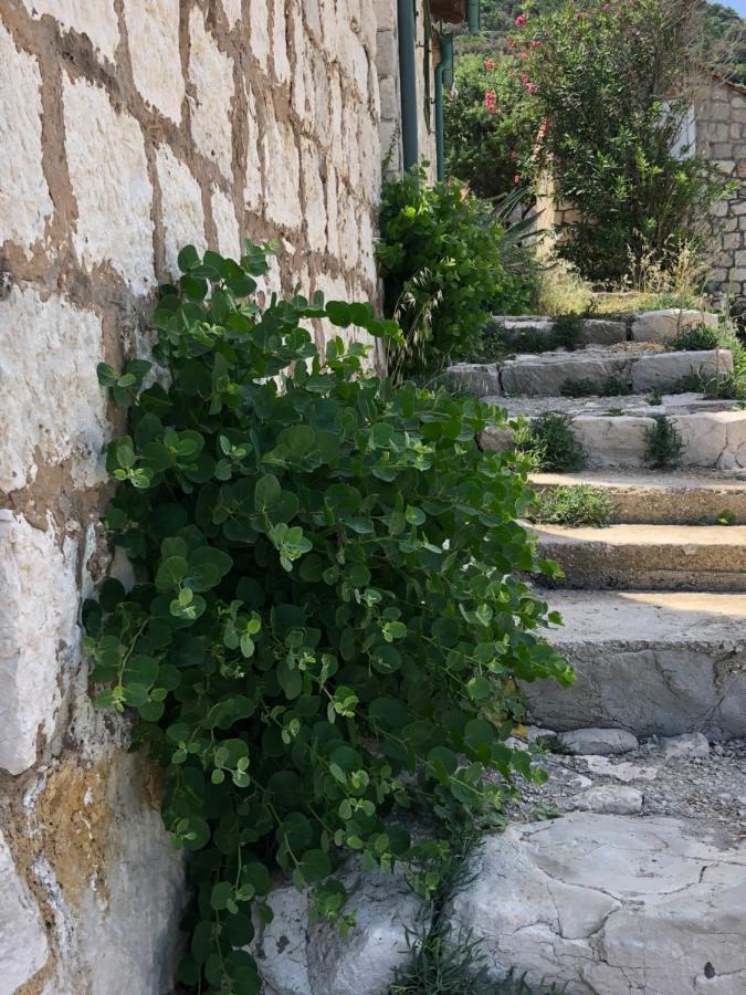 Villa Iva Lastovo Убли Экстерьер фото